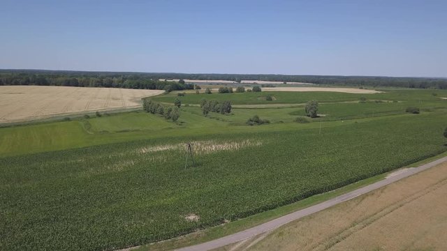 Summer fields at sunny day. 4k aerial, drone footage.