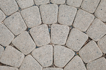 Walkway lined with paving stones in a semicircle