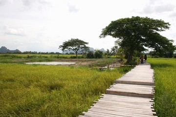 Fototapeta na wymiar landmark and field rice in south Thailand