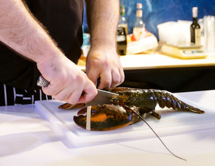 Cooking Lobster, chef cutting lobster, Hands of a chef cutting a fresh lobster