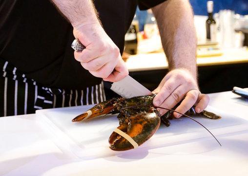 Cooking Lobster, chef cutting lobster, Hands of a chef cutting a fresh lobster
