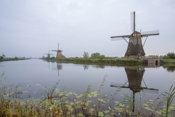 Naklejka premium Kinderdijk in holland