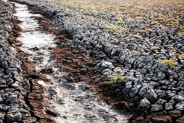 Dry ground of pond.