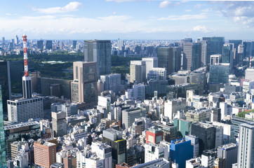 Obraz premium 東京風景・汐留から望む銀座 日比谷 皇居方面