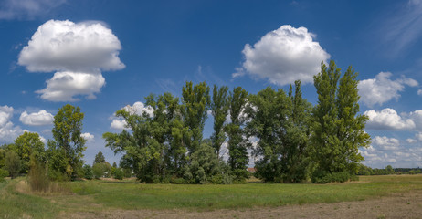 Der Niddapark im Sommer am Stadtrand von Frankfurt am Main