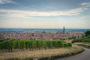Alsace, France - 08 23 2018: La route du vin en Alsace, dambach-la-ville, France