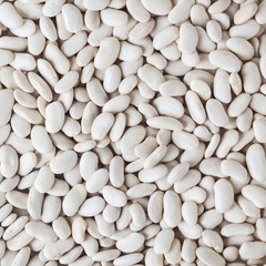 Uncooked white beans background