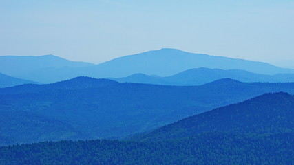 Obraz premium high mountains covered with dense forest in fog on a summer evening