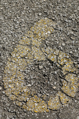 剥げかけたナンバー表示