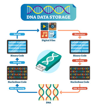 DNA Data Storage Infographic Vector Illustration. Explained Technology.