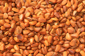 pile of pine nut, delicious snacks