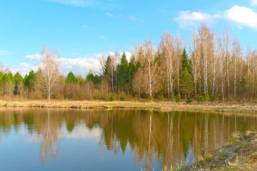 Fototapeta na wymiar Lake and forest on the banks in early spring.