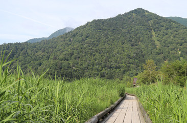 Fototapeta na wymiar Scenery of wooden walkway in green grass field with mountain and cloudy sky background.