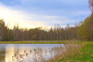 Lake and forest on the banks in early spring.