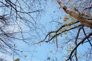 kei photo