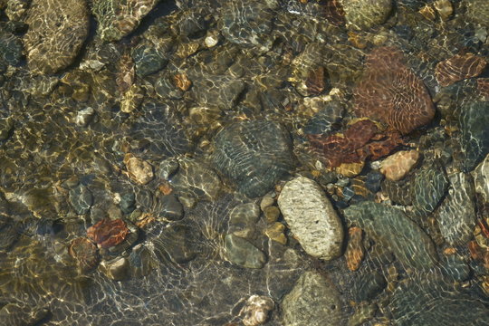 Image of the bottom of a mountain river.