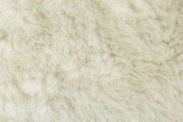 White shaggy natural sheep fur texture for background 