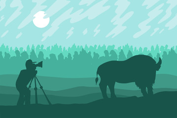 Photographer photographs walking bizon on field © barsrsind