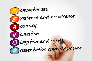 Hand writing Assertions CEAVOP (completeness, existence and occurrence, accuracy, valuation,...