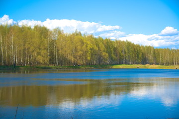 Fototapeta na wymiar Forest on the shore of the pond in the spring.