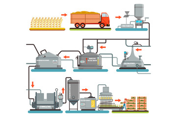Beer brewing process, production of beer vector Illustrations