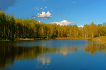 Fototapeta premium Grove on the shore of the pond in the spring. Russia.