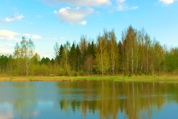 Fototapeta na wymiar Grove on the shore of the pond in the spring. Russia.