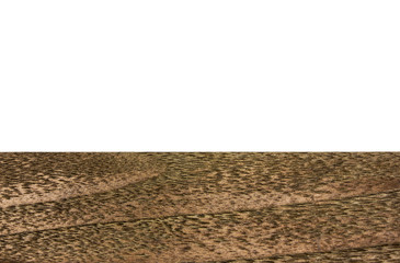 wooden texture isolated on white background