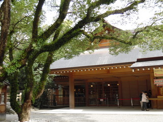 Traditional shrine and tree