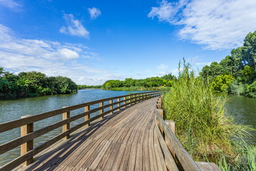 Obraz premium wooden bridge over the river