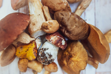 Mushrooms on the table, flat lay , autumn, mushroom background top view , porcini and brown cap boletus