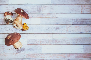 Mushrooms on the table, flat lay , autumn, mushroom background top view , porcini and brown cap boletus, space for text