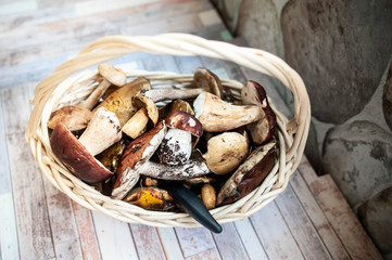 Fresh forest mushrooms in the basket, porcini , brown cap boletus , mosses, macro.