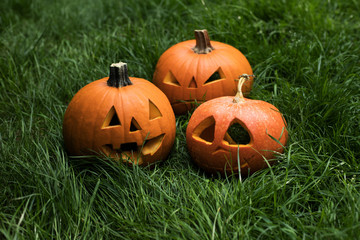 halloween pumpkin on grass. jack-o-lantern