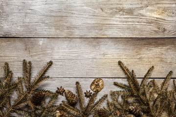 Christmas fir tree on wooden background with space for your text