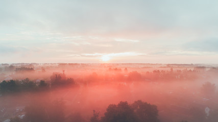 Aerial view at sunrise. Sky. Forest. Trees. Summer. Nature. Ukraine.