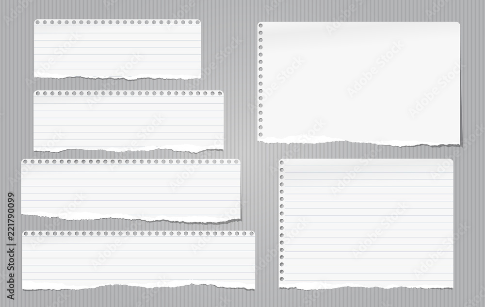 Poster white note, notebook torn paper strips with torn edges stuck on gray lined backgroud. vector illustr