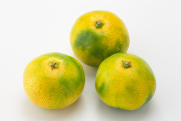みかん