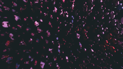 A crowd of people at a concert. Olympic Stadium. Kiev (Kyiv). Ukraine. 