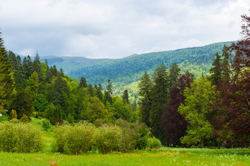 The Romanian Carpathians.