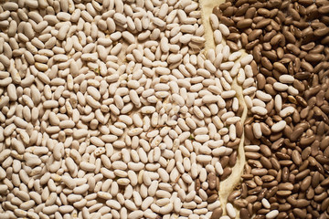 Common Beans  over rustic background. Top view