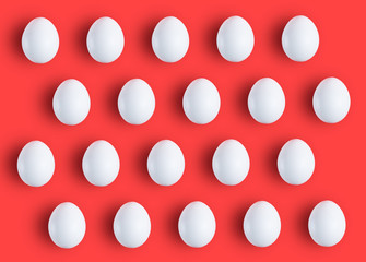 Egg. White chicken egg on red background.