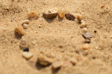 Fototapeta na wymiar Seashell on a sand beach