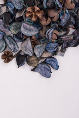 Blue texture of dried flowers and a place for writing.