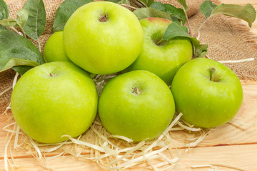 Pile of green apples and twigs close-up