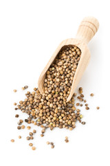 Raw, unprocessed organic coriander or cilantro seeds in wooden scoop on white