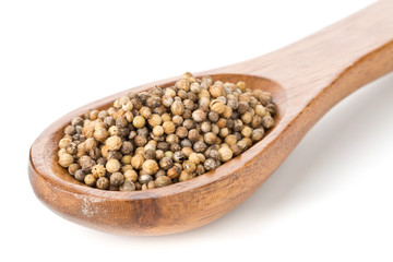 Raw, unprocessed organic coriander or cilantro seeds in wooden spoon on white