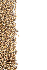 Raw, unprocessed organic coriander or cilantro seeds border on white
