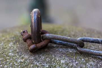 Chain