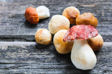 mushrooms on a wooden background